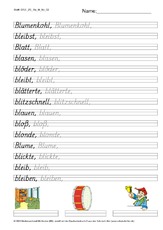 DSS_2S_Bu_bl_Nr_02.pdf